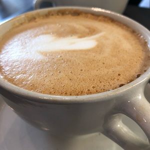 Meet your Posher, Tara